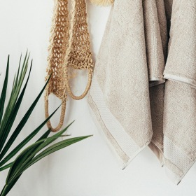 a plant and a towel hanging on a wall
