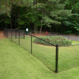 a dog park with trees